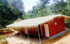 Chikmagaluru – Homestay at Paradise
